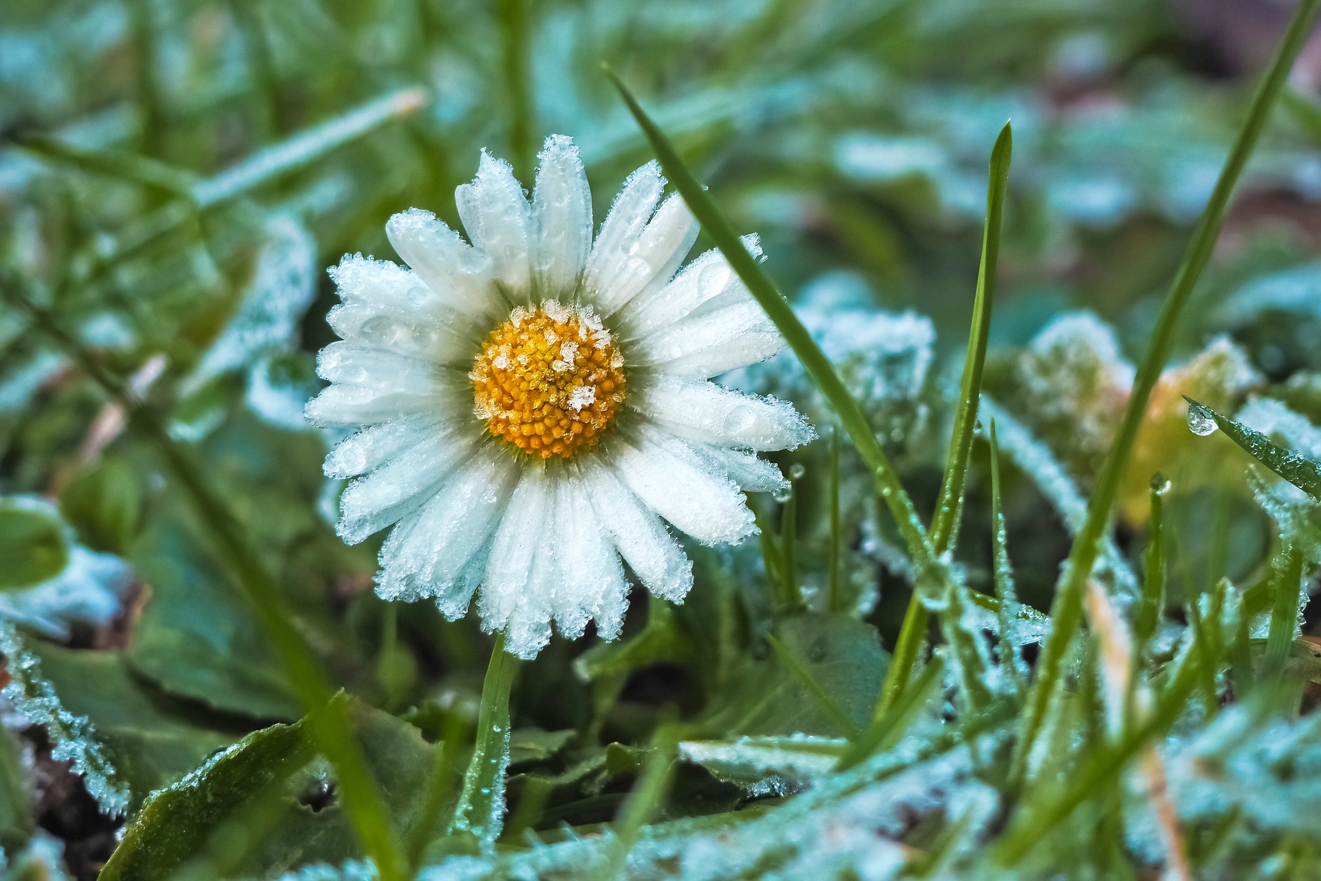 Finnish Winter Phenomenons Vocabulary